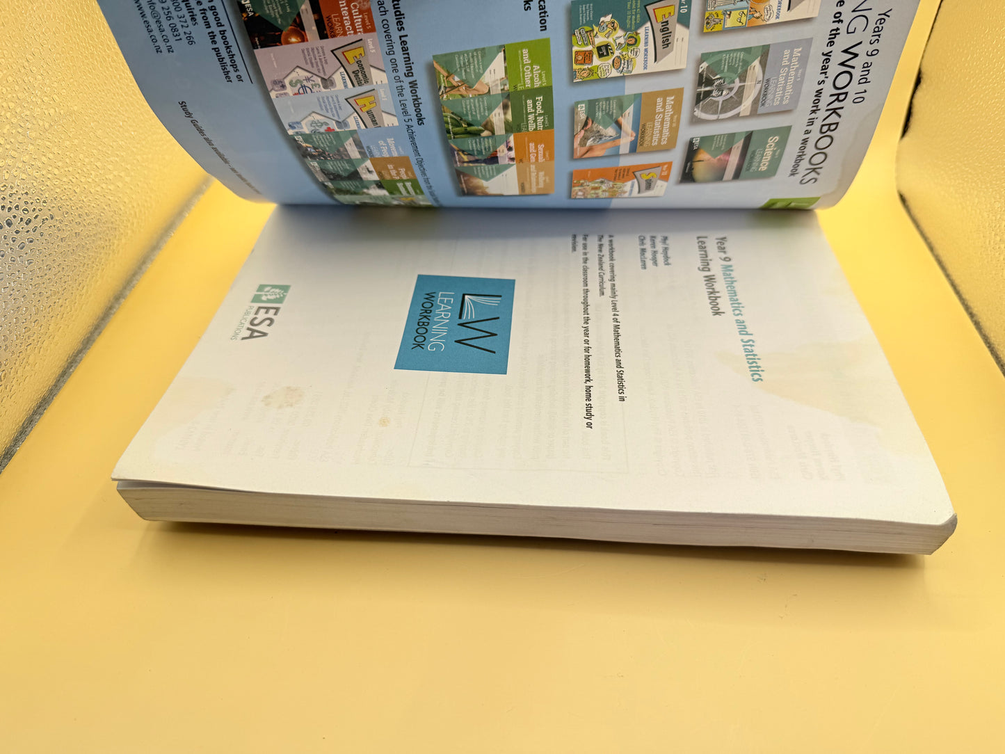 Year 9 Mathematics and Statistics Learning Workbook
