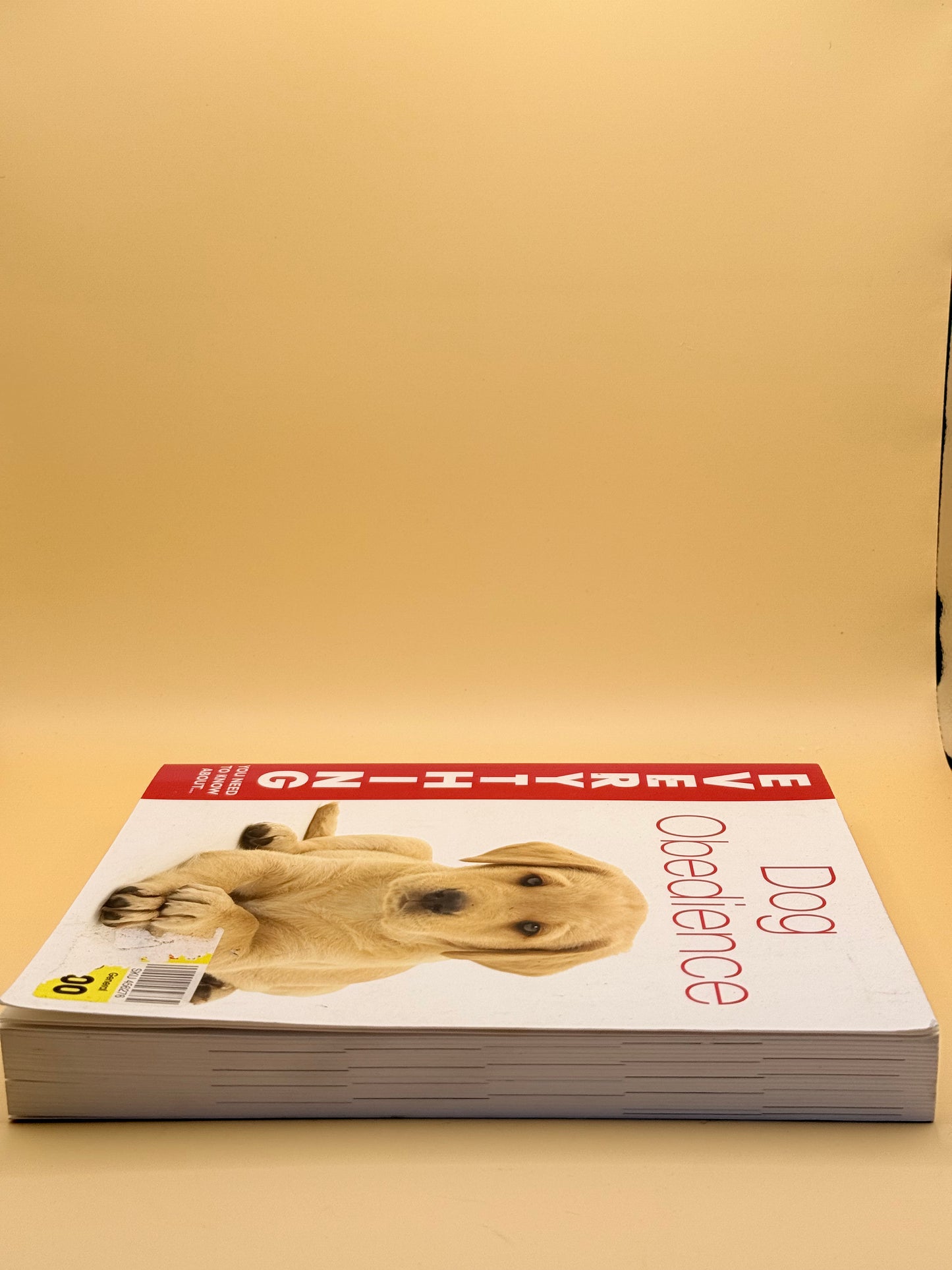 Everything You Need to Know About Dog Obedience by Jennifer Bridwell