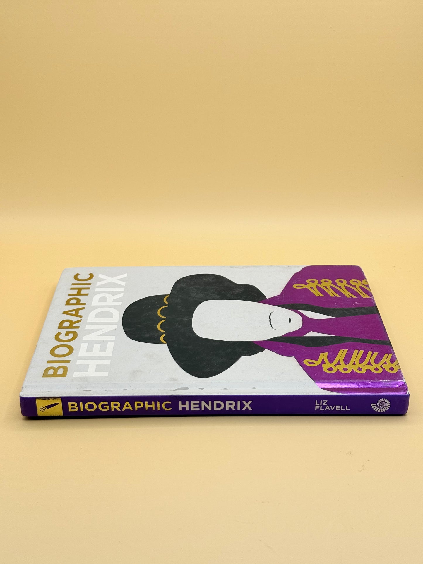 Biographic Hendrix by Liz Flavel