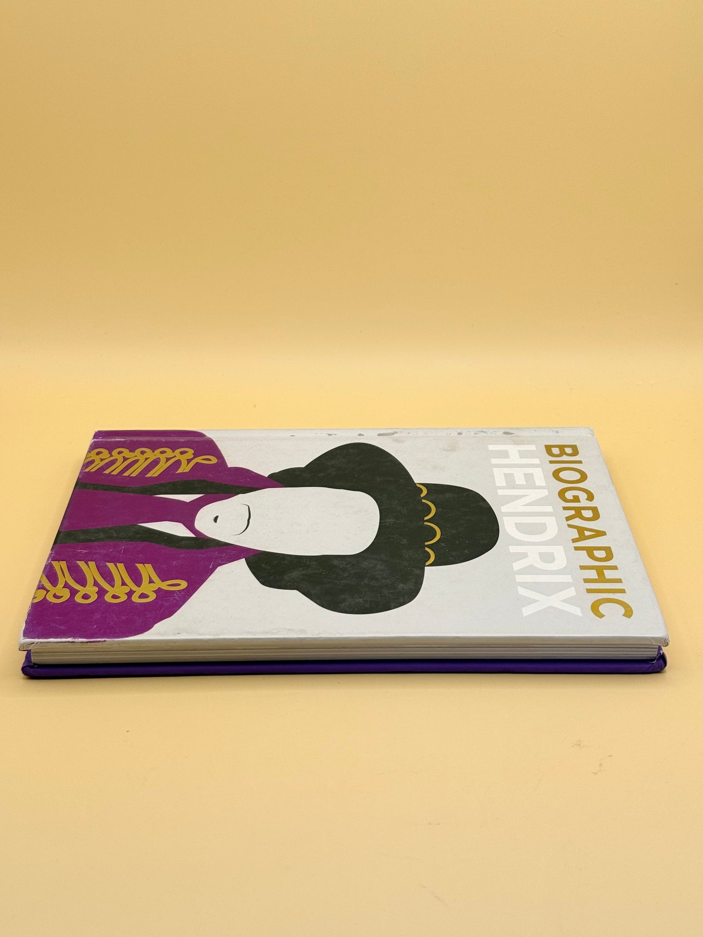 Biographic Hendrix by Liz Flavel