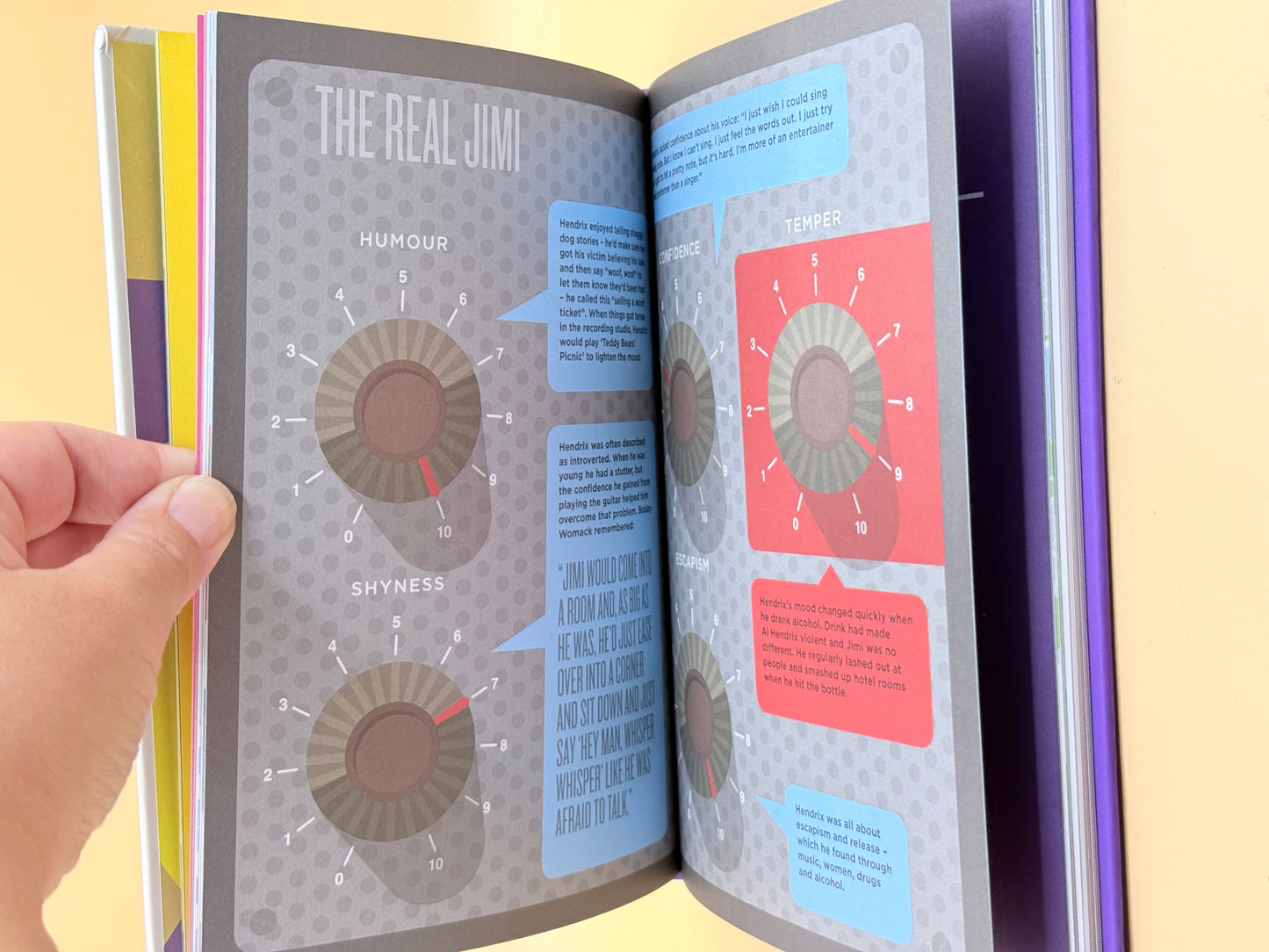 Biographic Hendrix by Liz Flavel