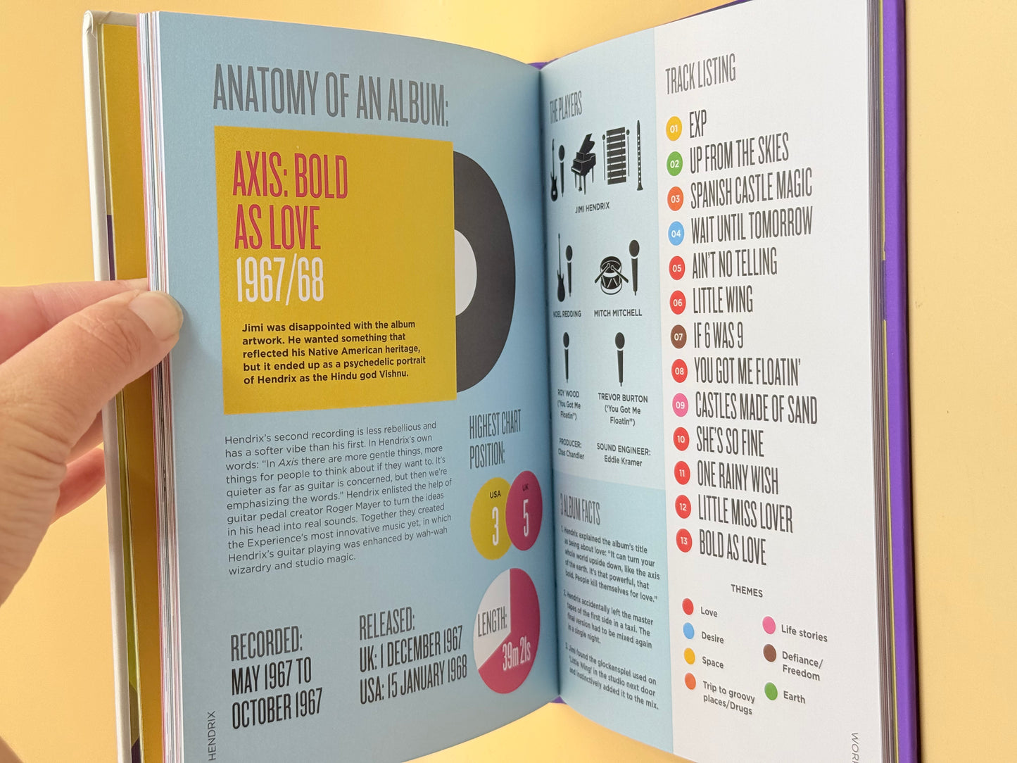 Biographic Hendrix by Liz Flavel