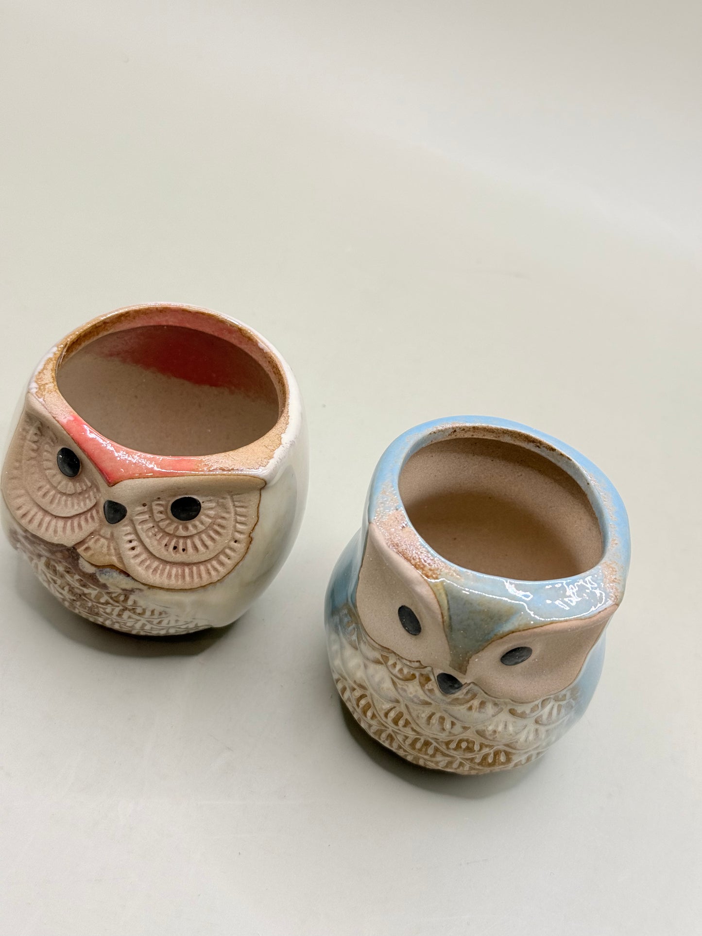 Set of 2 Small Whimsical Owl Succulent Planter Set