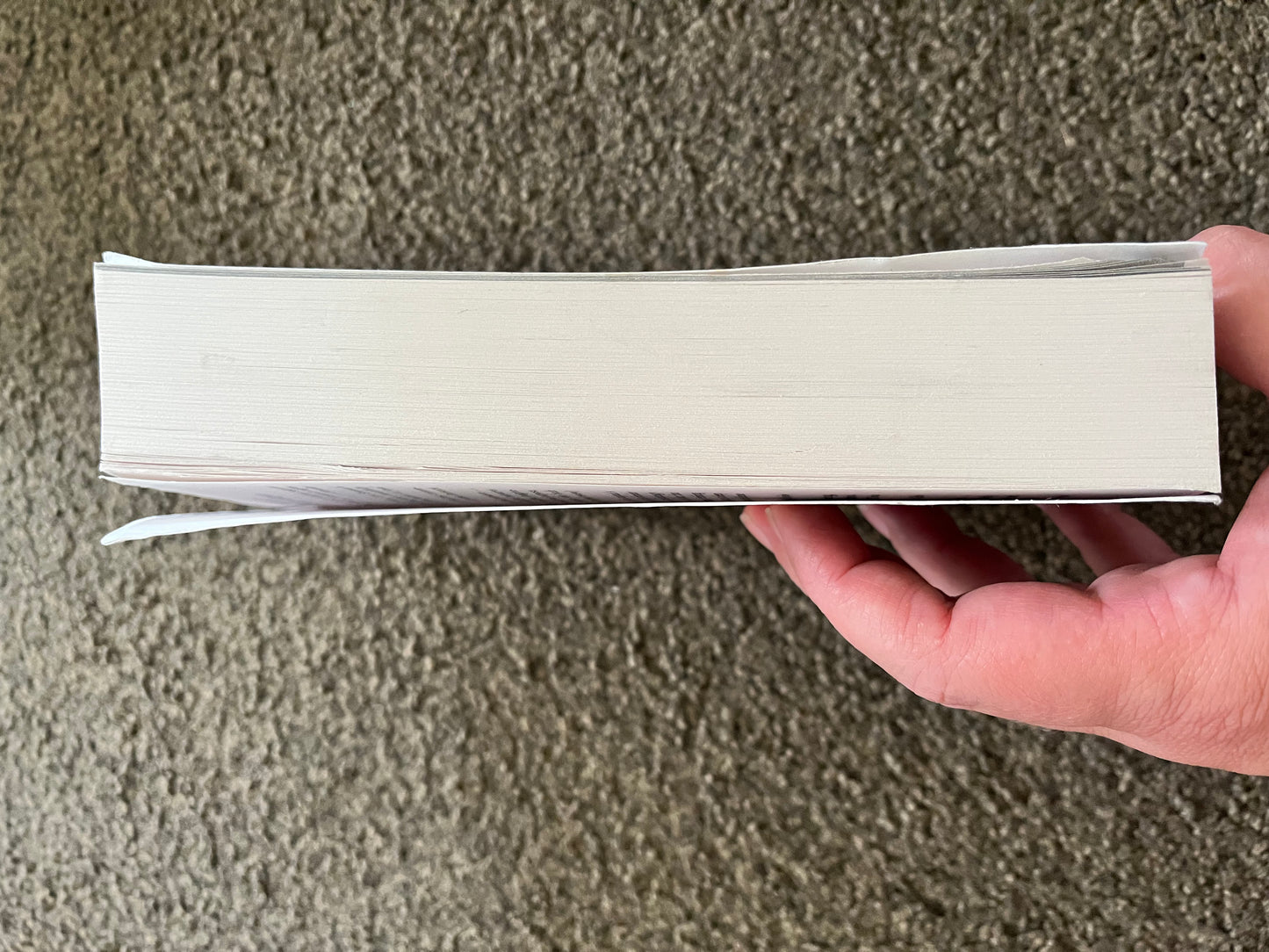 Ahab's Wife: Or, The Star-Gazer by Sena Jeter Naslund