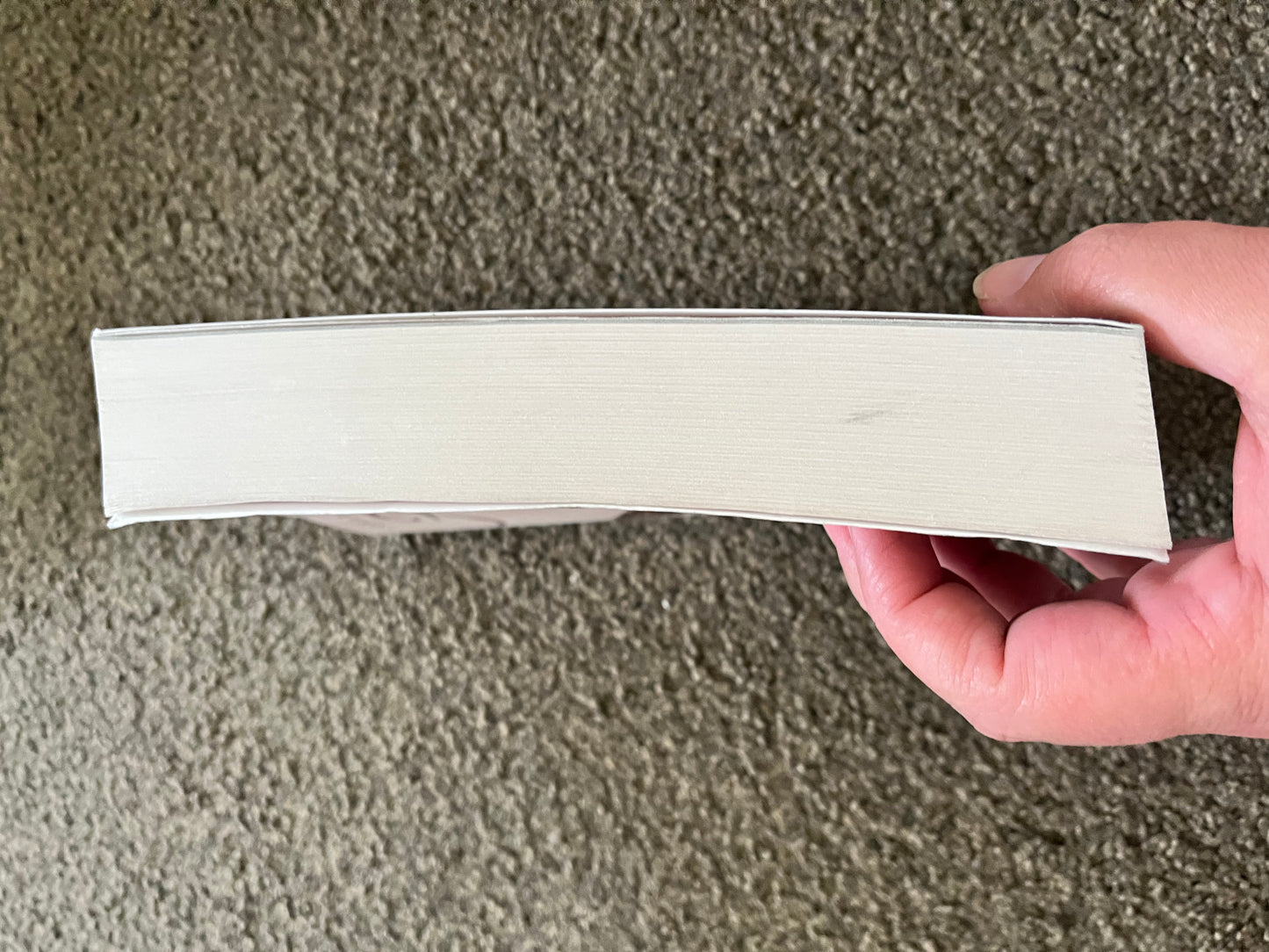 Ahab's Wife: Or, The Star-Gazer by Sena Jeter Naslund