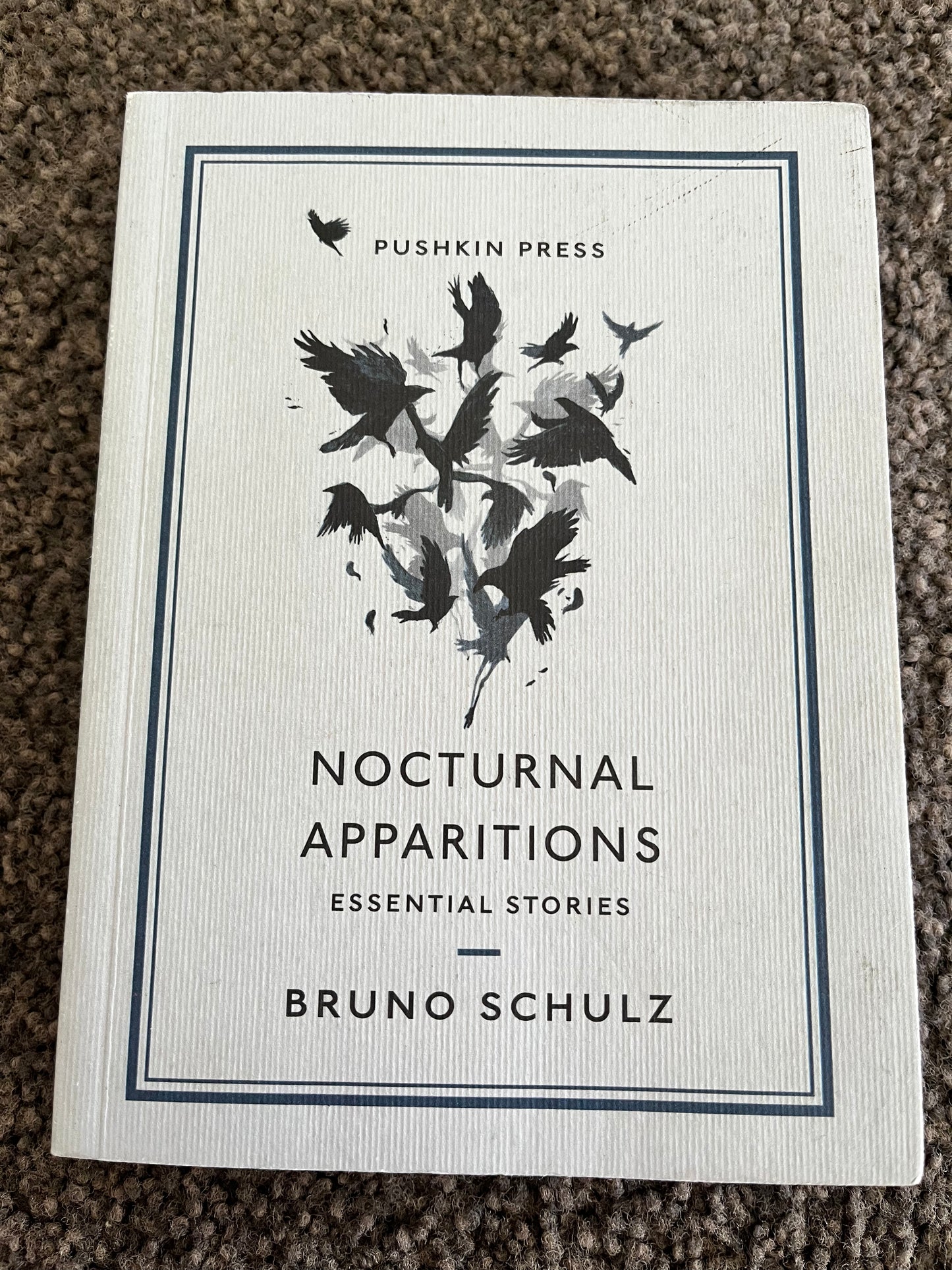 Nocturnal Apparitions: Essential Stories by Bruno Schulz