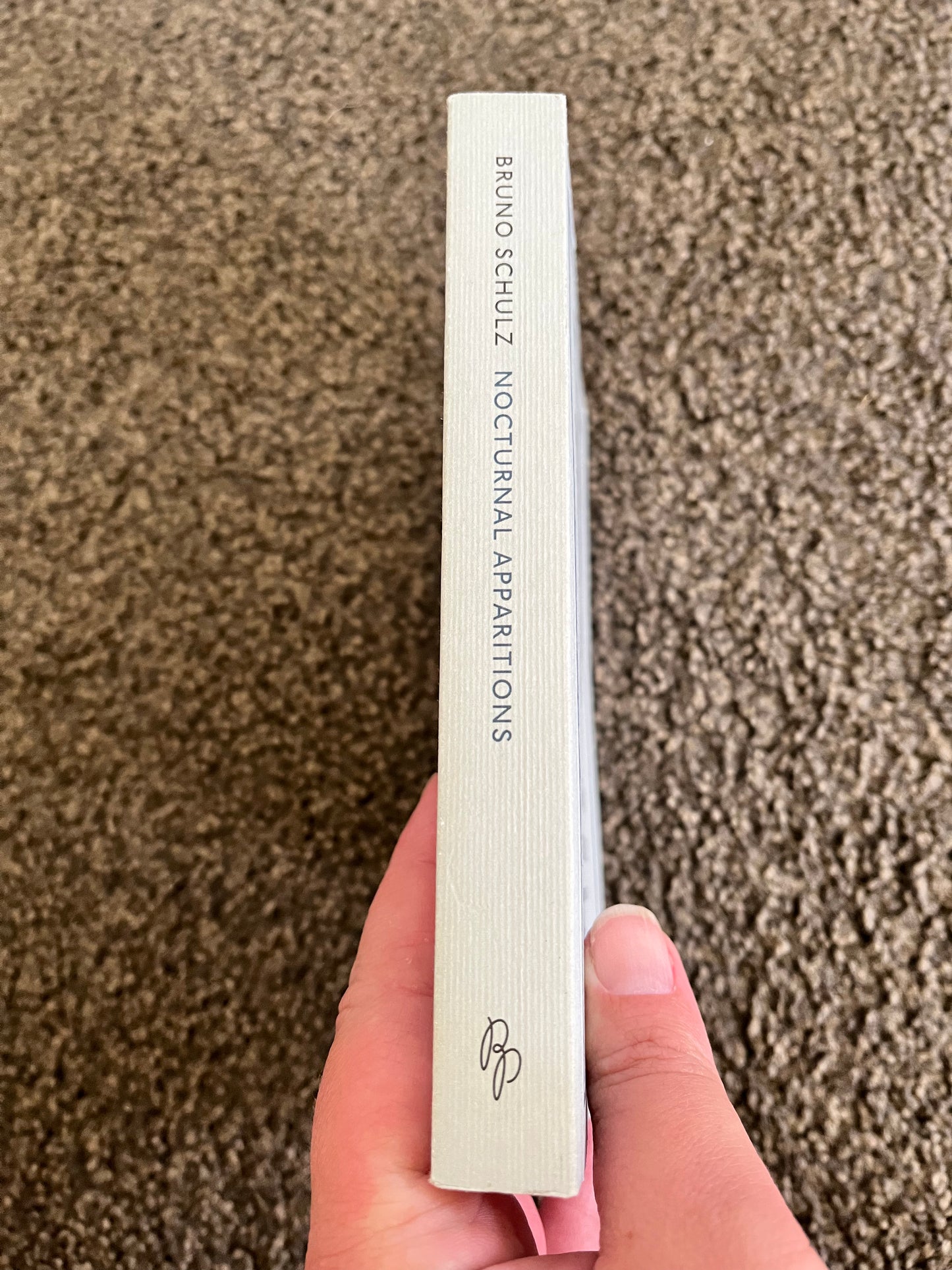 Nocturnal Apparitions: Essential Stories by Bruno Schulz
