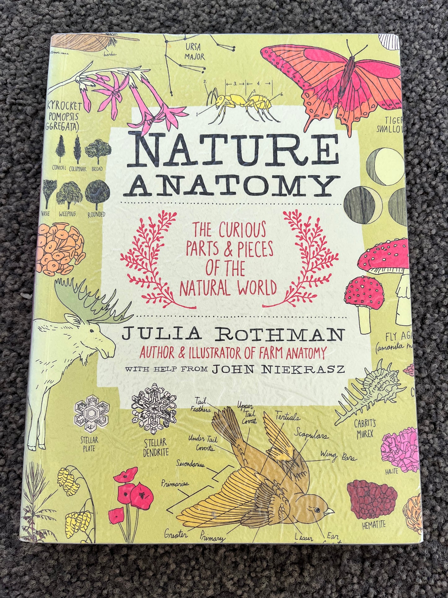 Nature Anatomy: The Curious Parts & Pieces of the Natural World by Julia Rothman