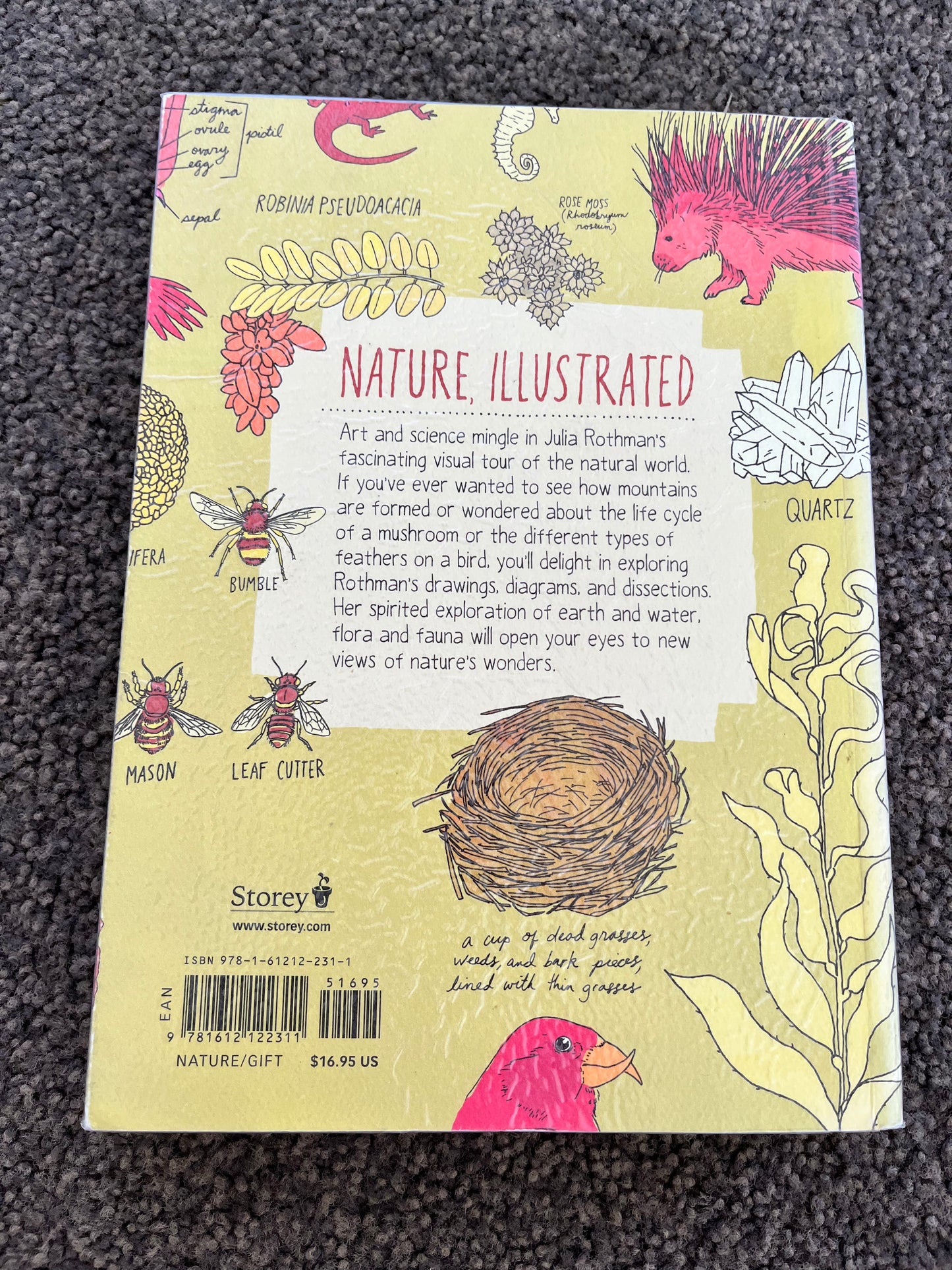 Nature Anatomy: The Curious Parts & Pieces of the Natural World by Julia Rothman