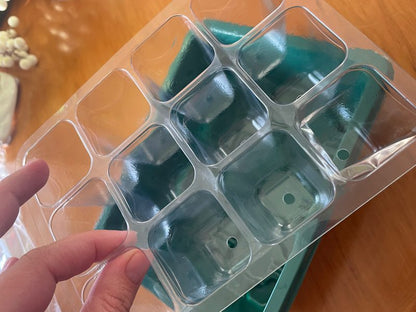 12 Hole Seedling Box