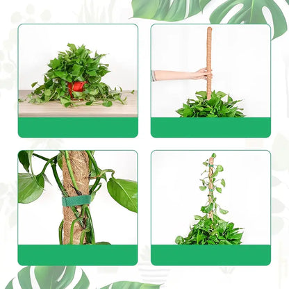 30cm Plant Pole