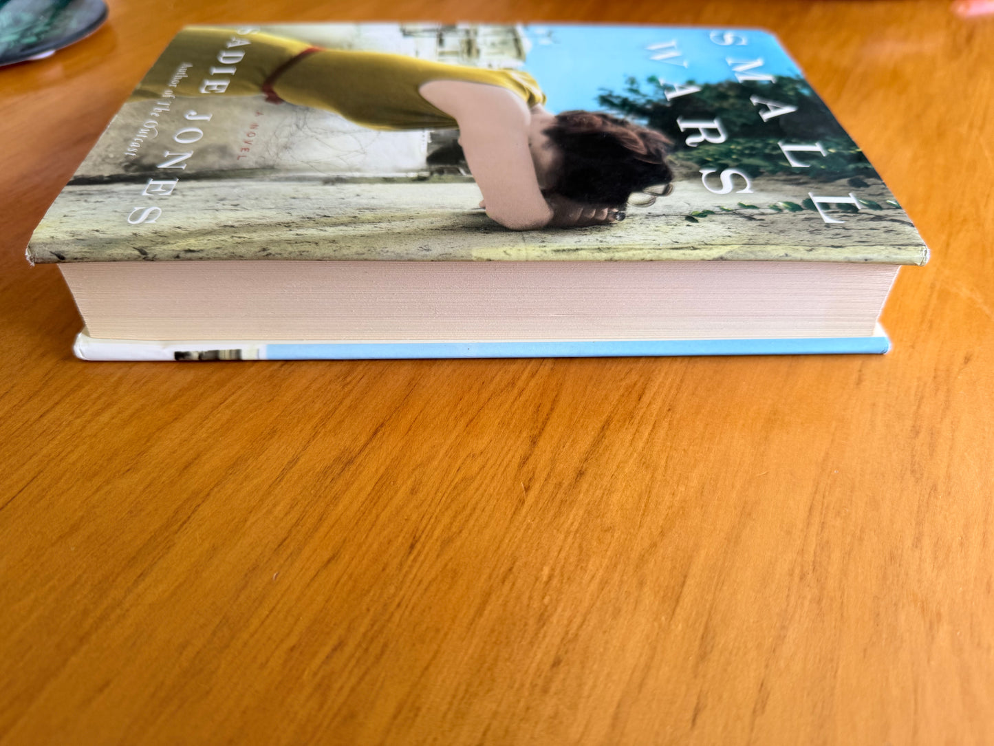 Small Wars by Sadie Jones
