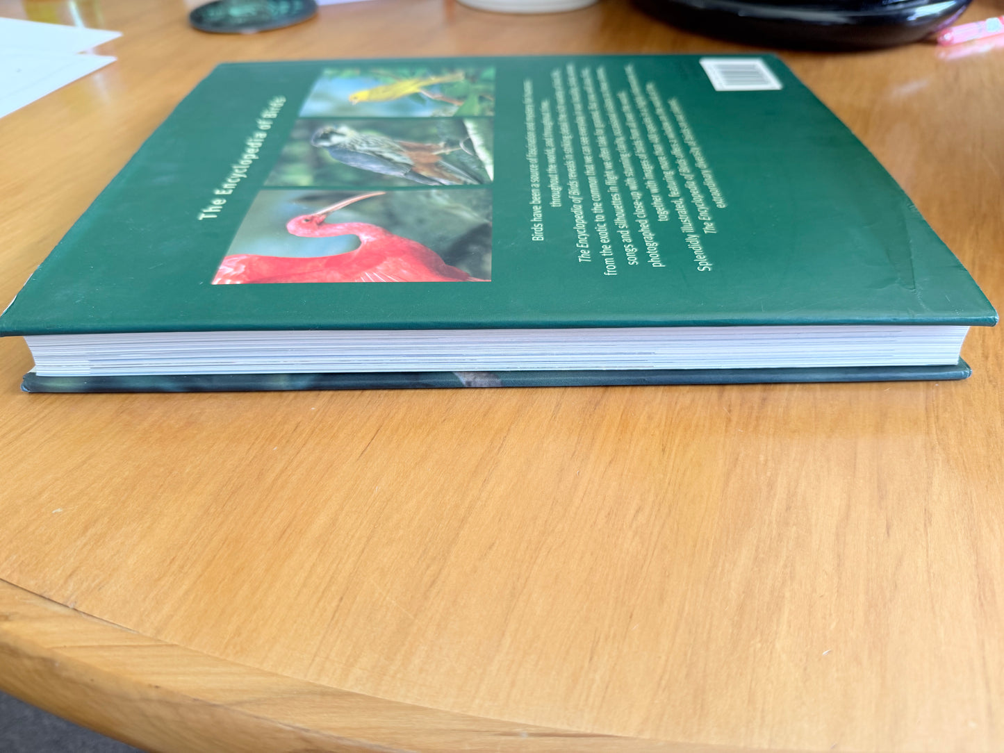 The Encyclopedia of Birds by Parragon Books
