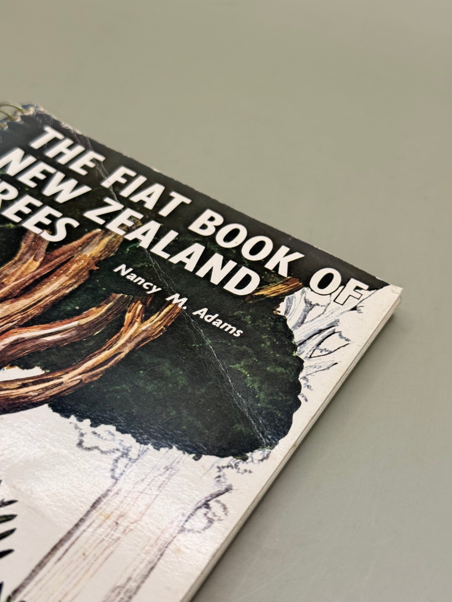 The Fiat Book of New Zealand Trees by Nancy M. Adams