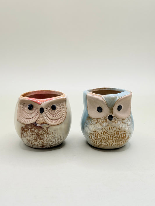 Set of 2 Small Whimsical Owl Succulent Planter Set