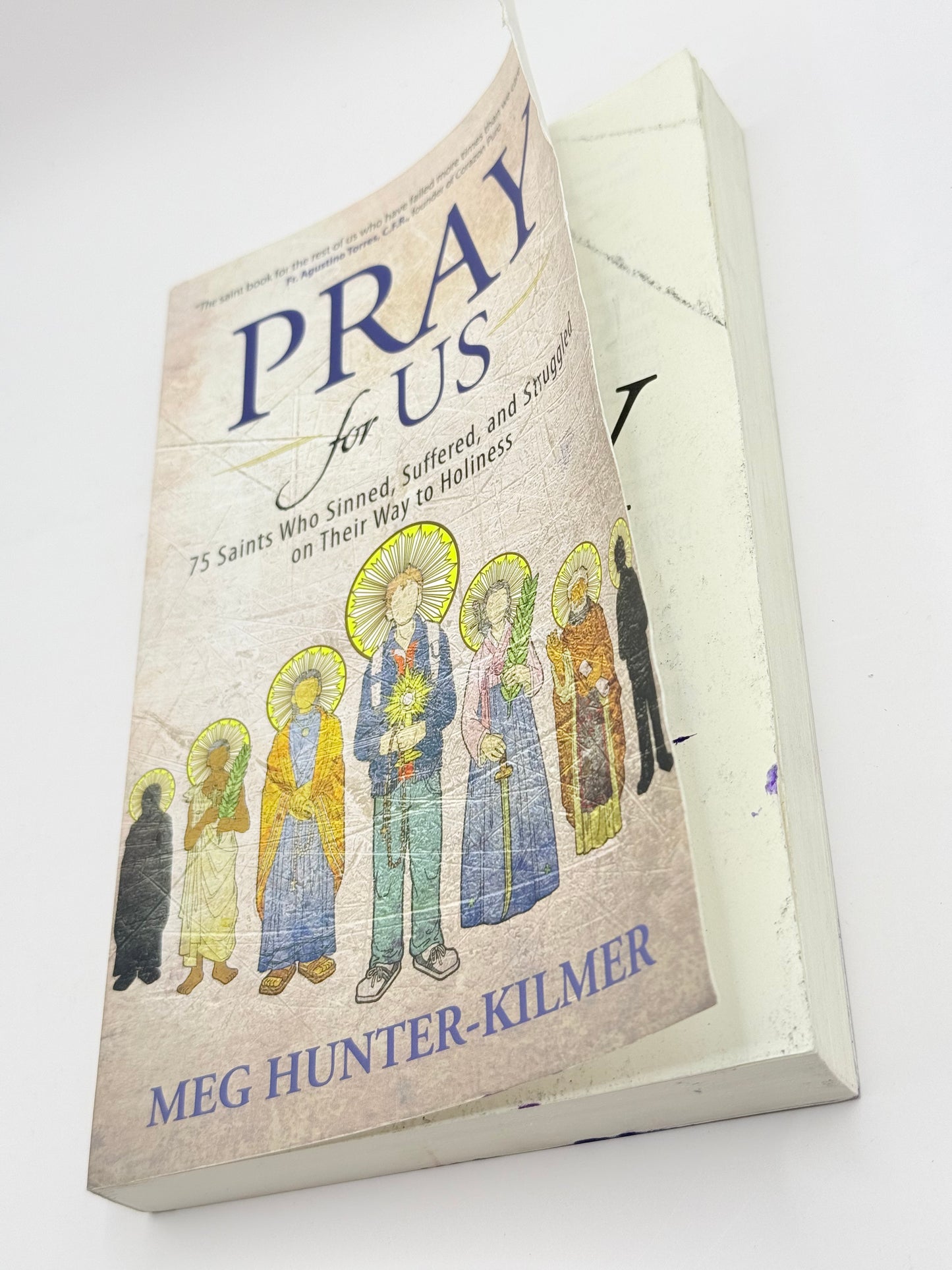 Pray for Us: 75 Saints Who Sinned, Suffered, and Struggled on Their Way to Holiness by Meg Hunter-Kilmer