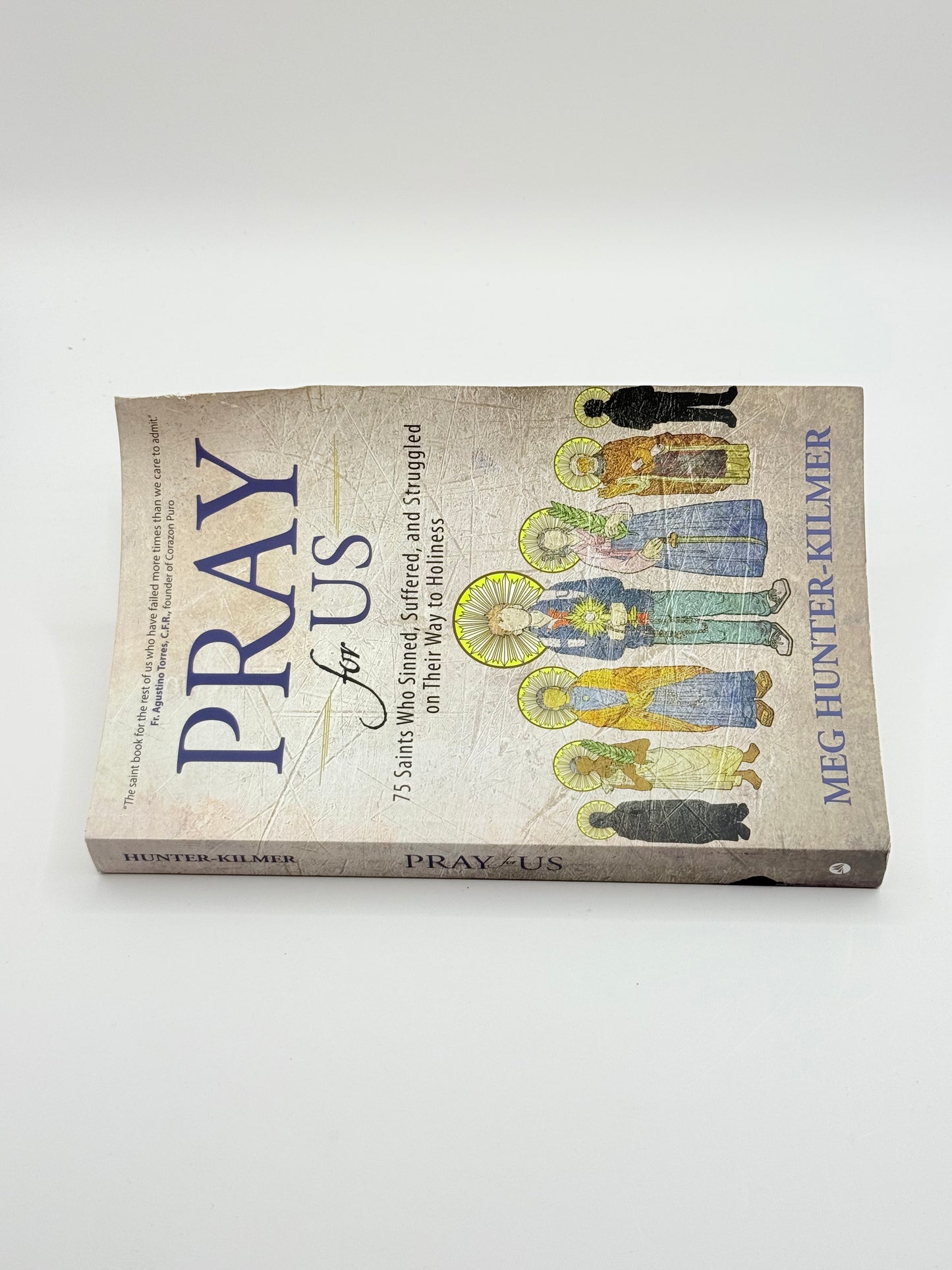 Pray for Us: 75 Saints Who Sinned, Suffered, and Struggled on Their Way to Holiness by Meg Hunter-Kilmer