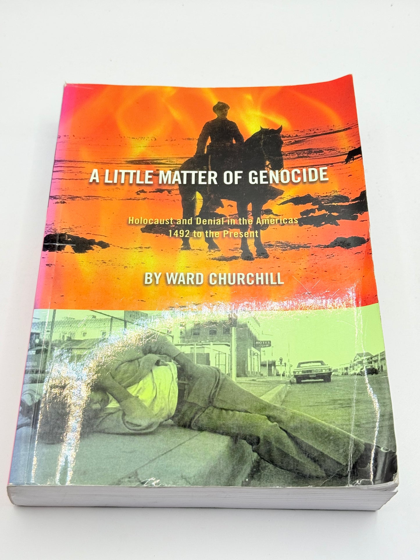 A Little Matter of Genocide: Holocaust and Denial in the Americas 1492 to the Present by Ward Churchill
