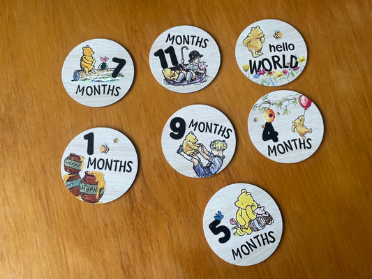 Double sided Winnie the Pooh  Monthly Milestone Discs