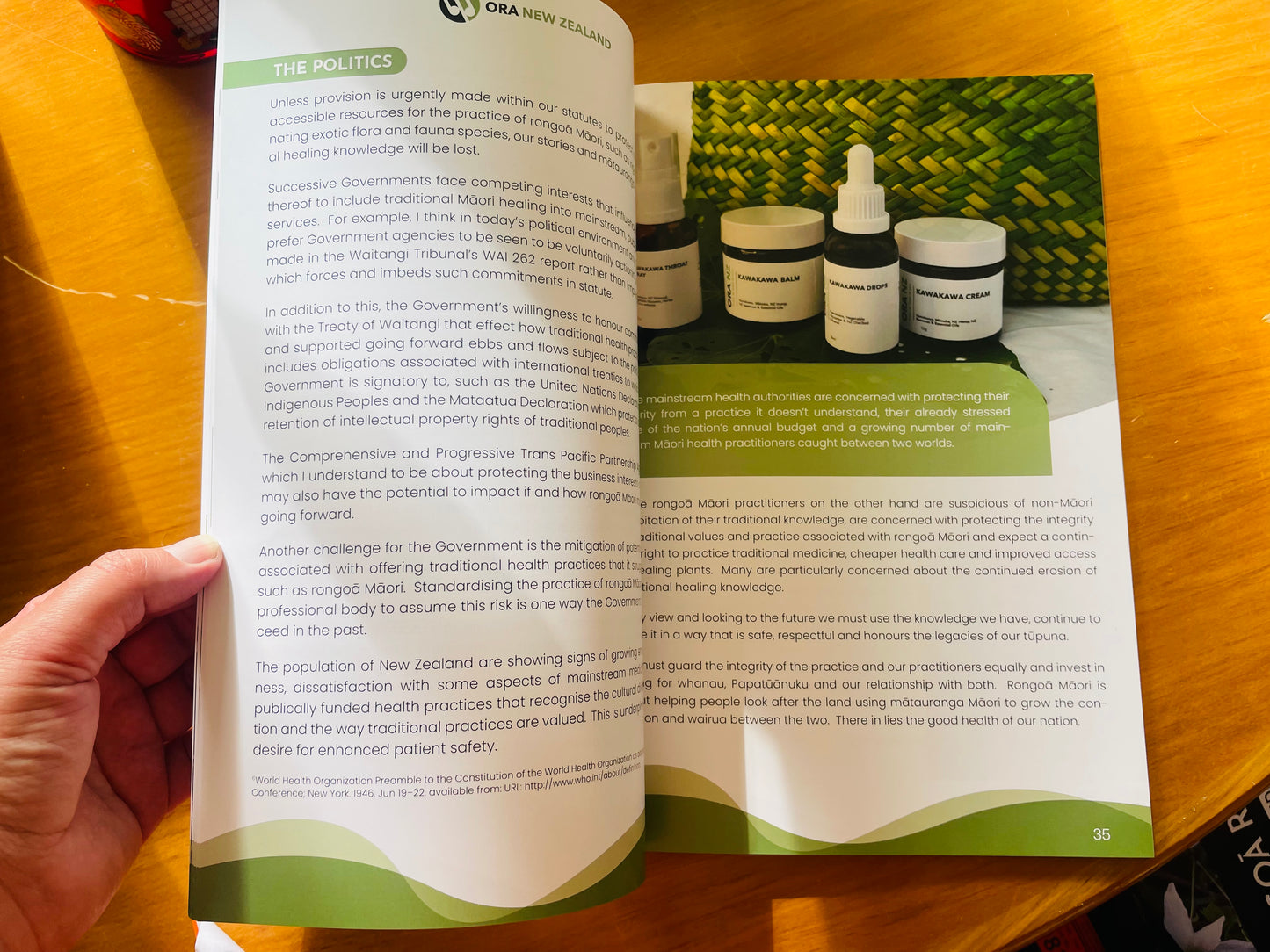 Māori Herbal Medicine by Rongoā Rākau