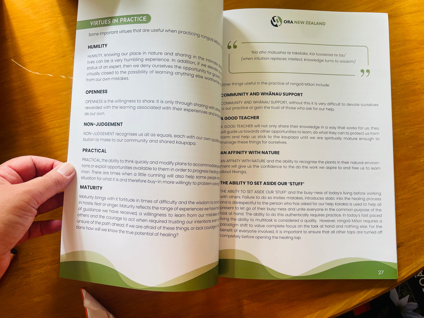 Māori Herbal Medicine by Rongoā Rākau