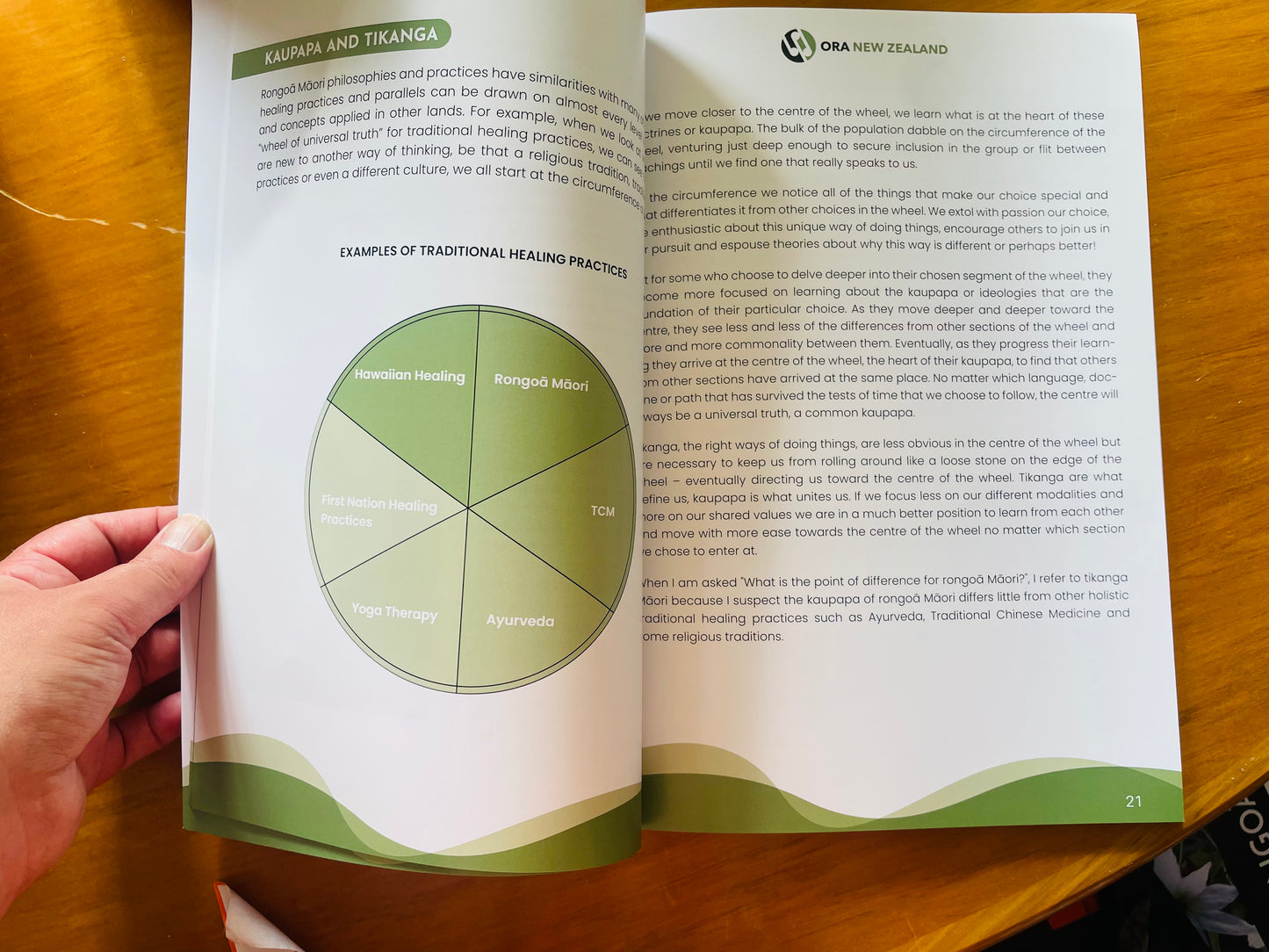 Māori Herbal Medicine by Rongoā Rākau