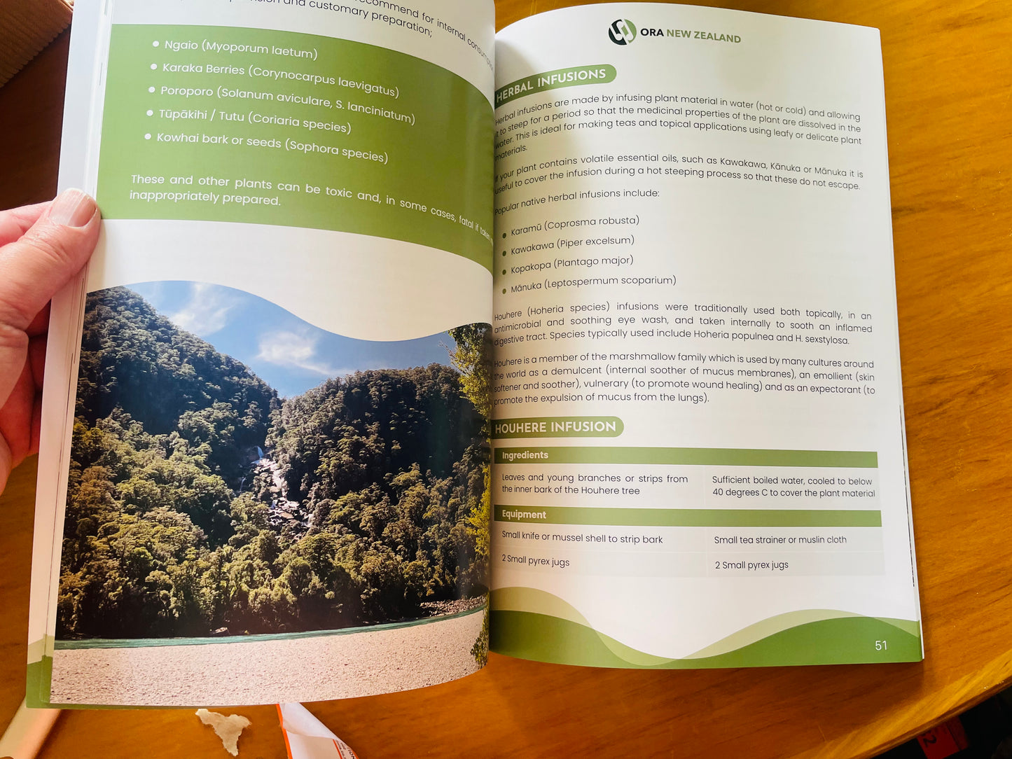 Māori Herbal Medicine by Rongoā Rākau