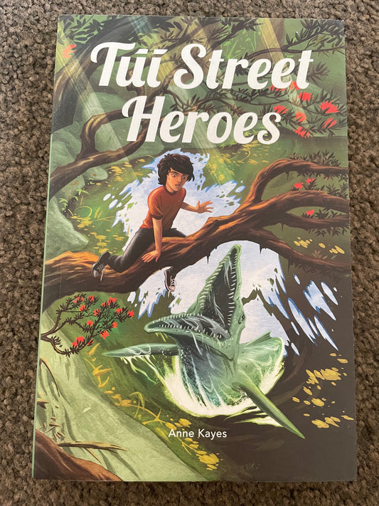 Tui Street Heroes by Anne Kayes