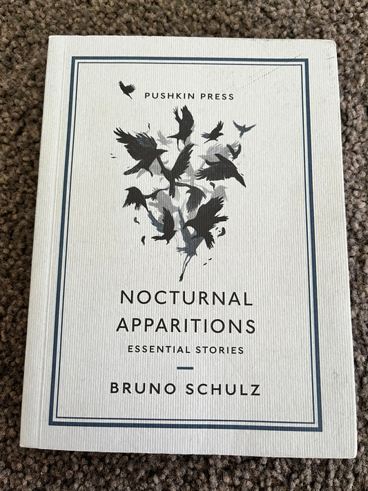 Nocturnal Apparitions: Essential Stories by Bruno Schulz