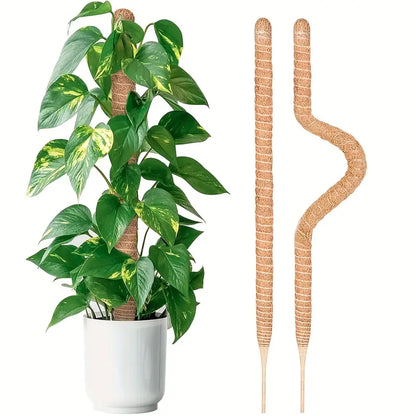30cm Plant Pole